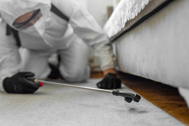 Professional Bed Bug Control technician working in Roswell, NM